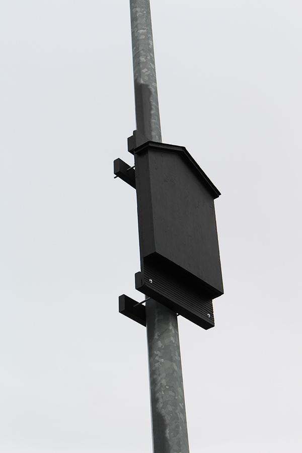 Bat House by Bob Danner