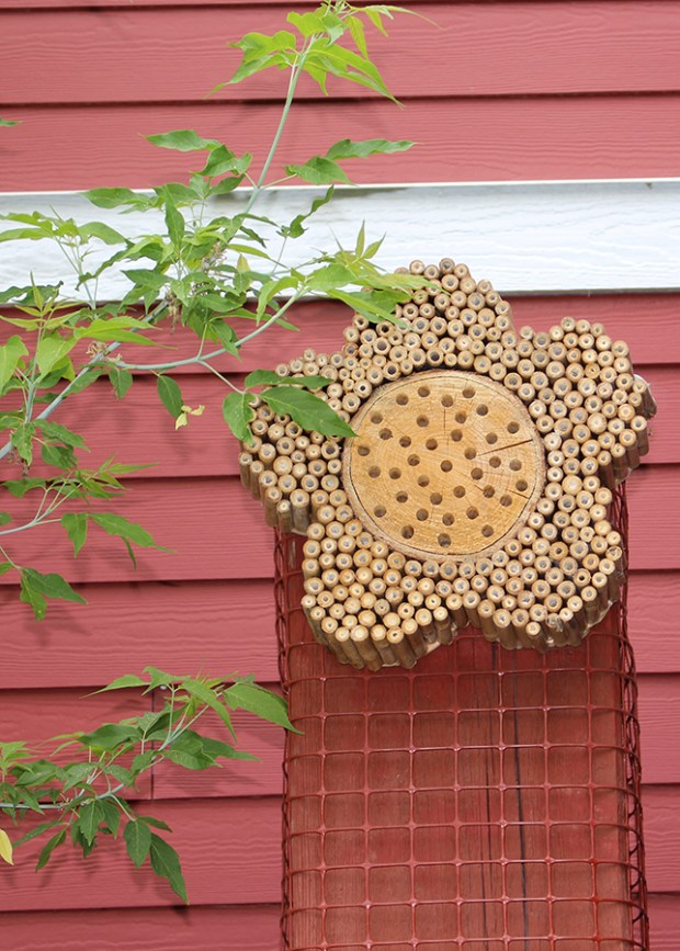 Bee hotel at the Parkallen Community Garden, or Bee Condo