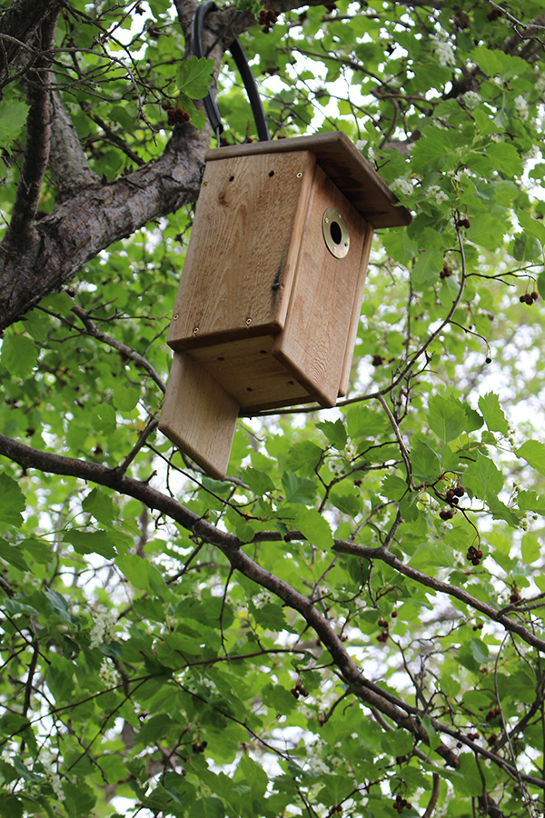 house with restrictor