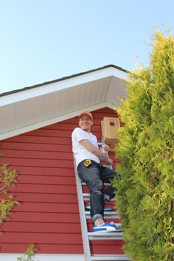 seth installing owl house