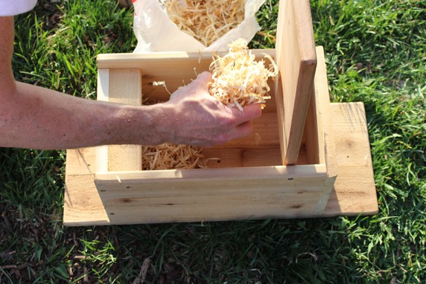 wood shavings