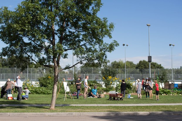 ParkallenCommunityGarden (1 of 1)